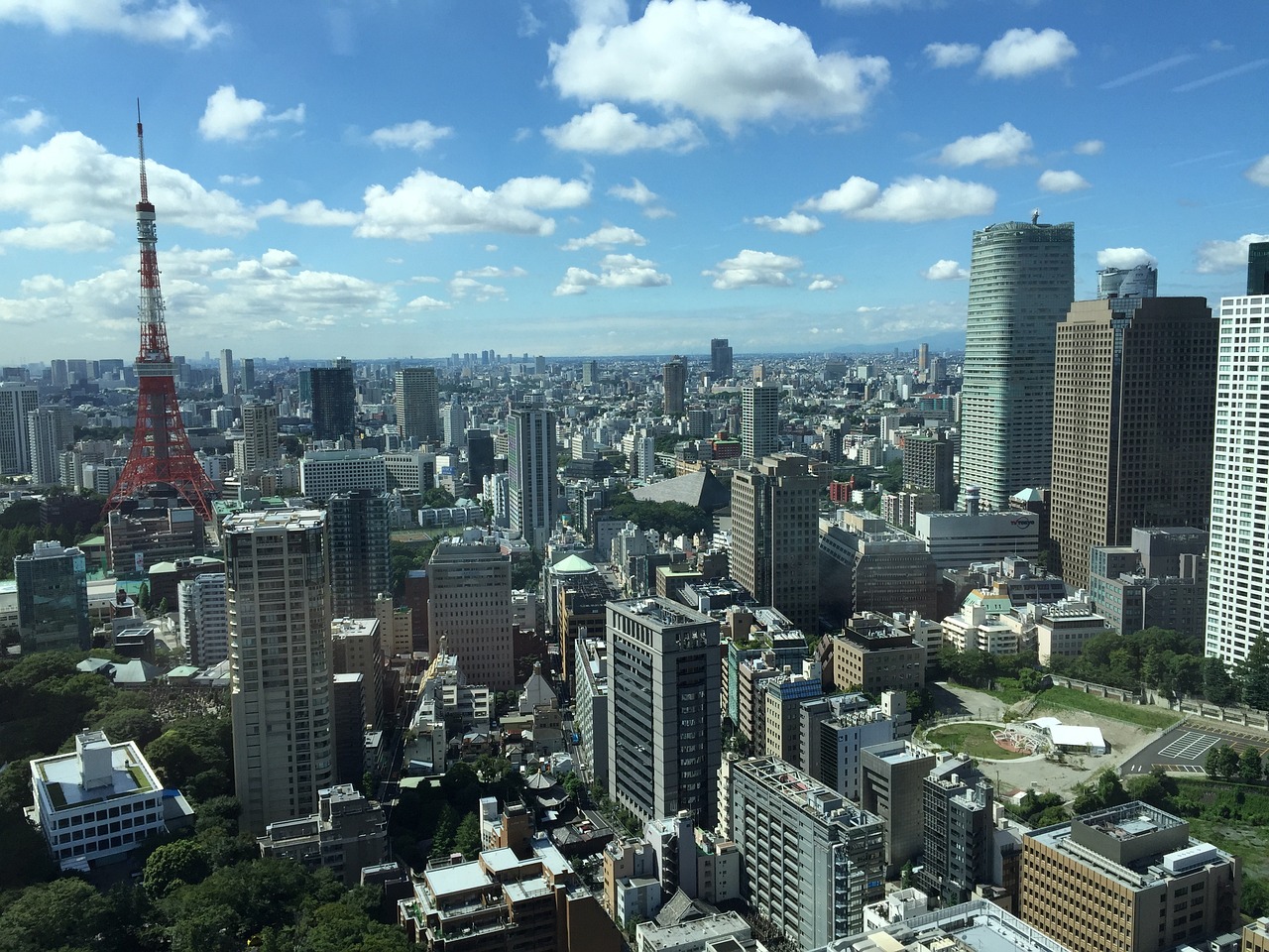 静若幽兰 第22页